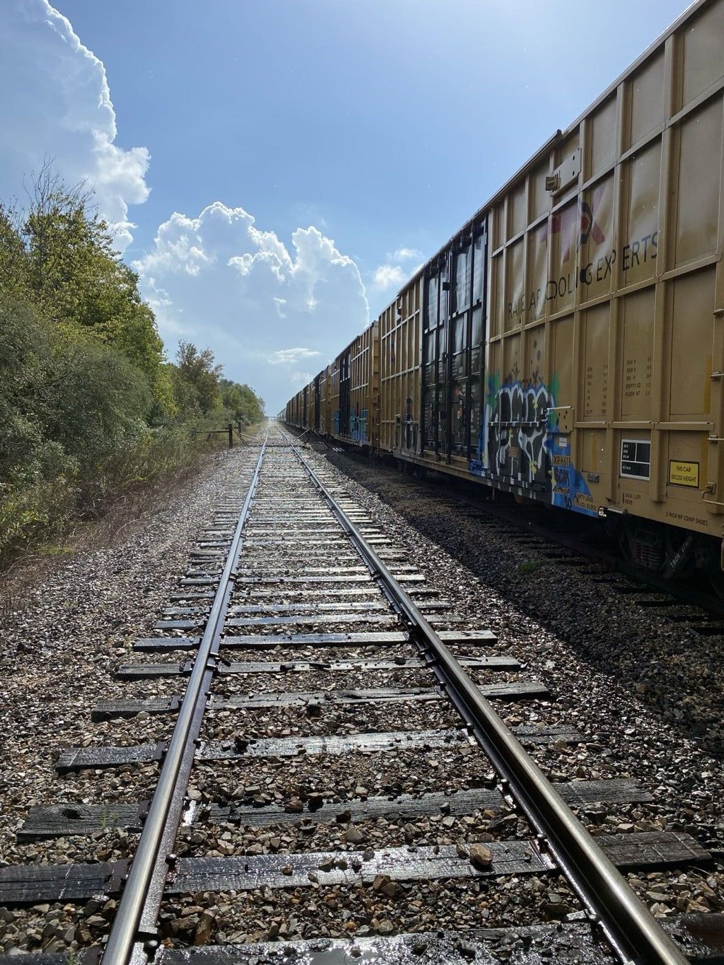 Storage track alongside a cut of railcars at CLIP
